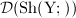 $\mathcal{D}(\mathrm{Sh(Y;)})$