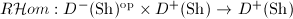 $R \mathcal{H}om: D^-(\mathrm{Sh})^\mathrm{op}\times D^+(\mathrm{Sh})\rightarrow D^+(\mathrm{Sh})$