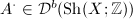 $A^\cdot\in \mathcal{D}^b(\mathrm{Sh}(X;\mathbb{Z}))$