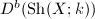 $D^b(\mathrm{Sh}(X;k))$