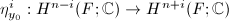 $\eta^i_{y_0}: H^{n-i}(F;\mathbb{C})\rightarrow H^{n+i}(F;\mathbb{C})$