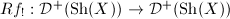$Rf_!: \mathcal{D}^+(\mathrm{Sh}(X)) \rightarrow \mathcal{D}^+(\mathrm{Sh}(X))$