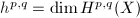 $h^{p,q}=\dim H^{p,q}(X)$