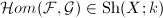 $\mathcal{H}om(\mathcal{F} ,\mathcal{G} )\in \mathrm{Sh}(X;k)$