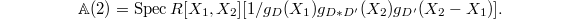 $$\mathbb{A}(2)=\Spec R[X_1,X_2][1/g_D(X_1)g_{D*D'}(X_2)g_{D'}(X_2-X_1)].$$