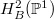 $H^2_B(\mathbb{P}^1)$