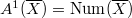 $A^1(\overline{X})=\Num(\overline{X})$