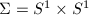 $\Sigma=S^1\times S^1$