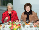 DSC 0049a